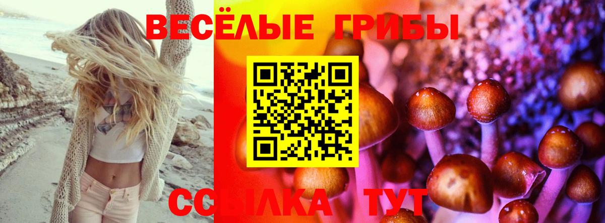 Галлюциногенные грибы Psilocybine cubensis Скопин