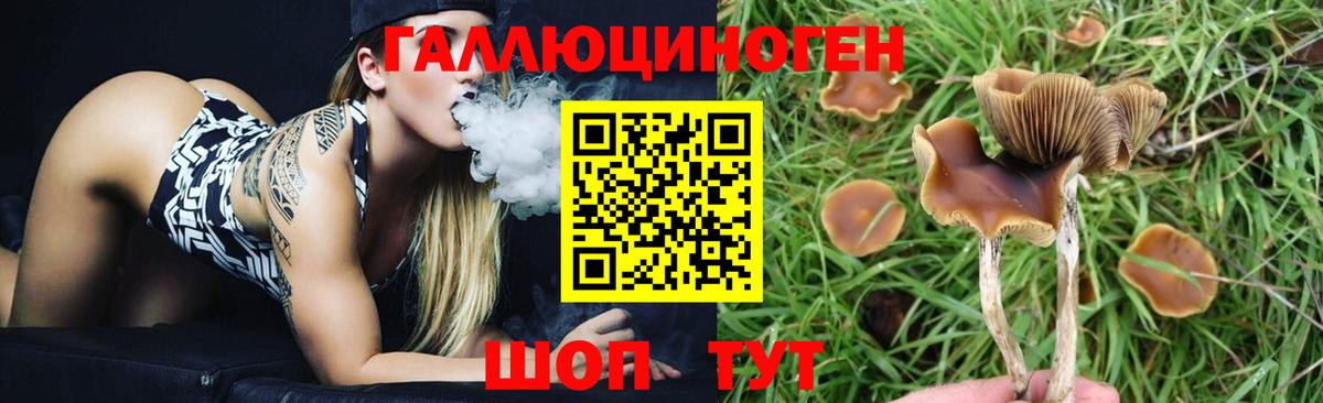закладка  Вход с VPN  Скопин  Псилоцибиновые грибы мухоморы  Галлюциногенные грибы MAGIC MUSHROOMS 