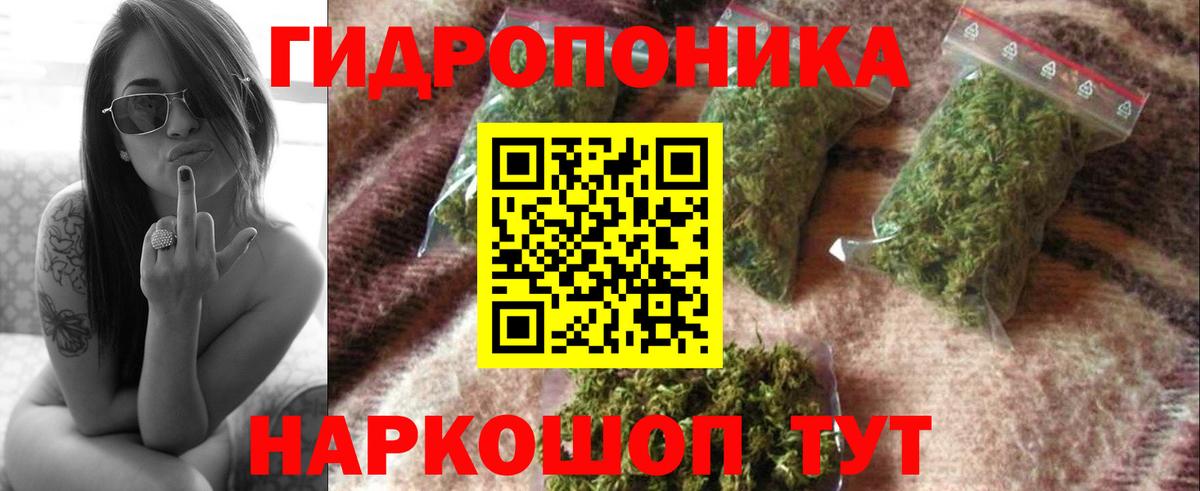 Конопля OG Kush Скопин